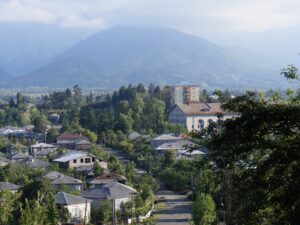 Чай, храмы и покинутый вокзал с пальмами: вот почему стоит заехать в Озургети по пути в Батуми