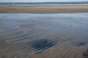 «Убрали берег и говорят, что это решение проблем». Эколог Олег Бодров рассказал о вероятных последствиях разлива нефти в Финском заливе. Делимся его опасениями