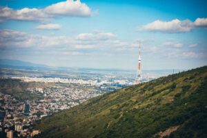 Тысячи саженцев высадили на склонах Мтацминды